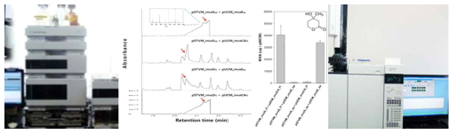 HPLC, GC/MS를 이용한 C6 MVA 계열의 단량체 분석