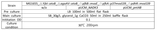 NADK3, pntAB 유전자의 효과를 확인하기 위한 플라스크 배양 조건