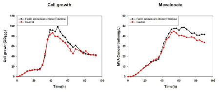ferric ammonium citrate와 thiamine 첨가에 따른 세포 성장 및 메발론산 생산량의 변화
