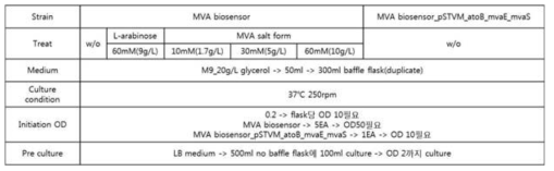 메발론산 바이오센서의 기능을 확인하기 위한 플라스크 배양 조건
