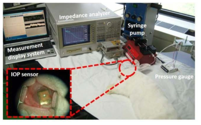동물실험을 통한 안압측정 실험장치 (코일형 안압센서 측정장치) [서울대 의과대학 안과와 공동연구]