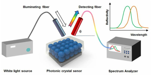 각도 변화에 따른 photonic crystal 색변화 측정