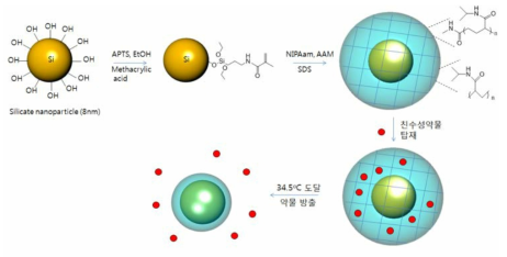 온도감응 약물 방출 PNIPAAm-based 나노구조의 제조