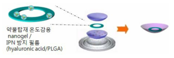 온도감응 서방형 약물담체 나노구조 소재개발 및 콘택트렌즈로의 탑재