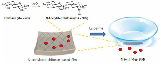 누액효소감응 약물담체 소재개발 및 콘택트렌즈로의 탑재
