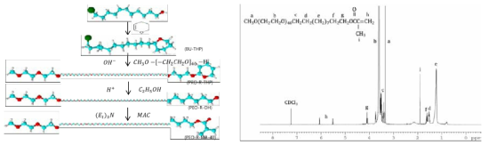 PEO-R-MA-40 합성과정 및 H-NMR 결과