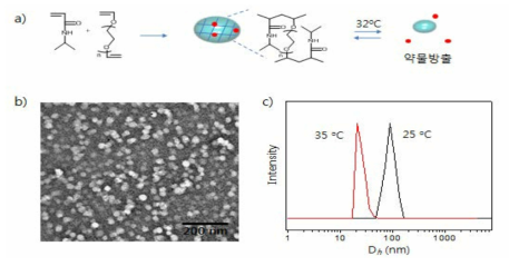 (a) 온도감응 약물방출 PNIPAam-based 나노젤 (b) 온도감응 나노젤의 (b) TEM 사진과 (c) DLS data (25 o C에서는 지름 약 80 nm, 35 o C에서는 약 20-30 nm)