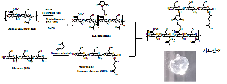 키토산-2 합성 및 하이드로겔 제조