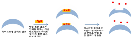 약물이 탑재된 키토산-기반 구조체의 렌즈 표면 혹은 내부에 탑