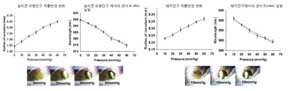 In vitro, Ex-vivo 실험 결과