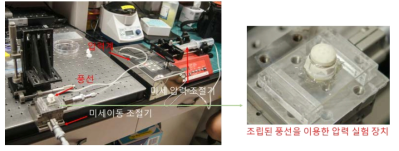 안압에 따른 눈의 부품 현상을 나타내기 위한 실험 장치 – 눈의 부푸는 현상을 풍선으로 대신하고, 이 때 인가된 압력을 연결되어진 압력계로 모니터링 함