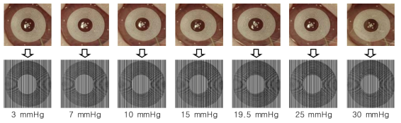 압력의 변화에 따른 렌즈 모아레 패턴 변화