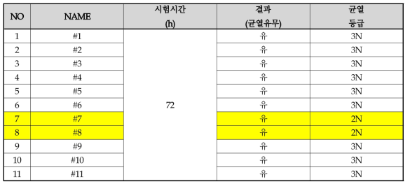 PE Wax 개발품 적용 고무 컴파운드 오존균열 시험 결과