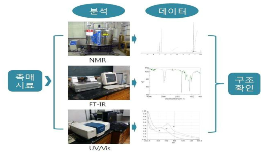 기기들을 이용한 촉매 구조 분석