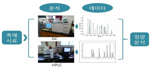 기기들을 이용한 촉매 순도 분석