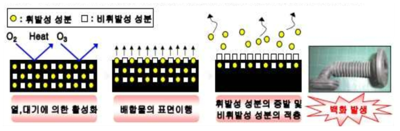 Blooming 메카니즘과 그 예