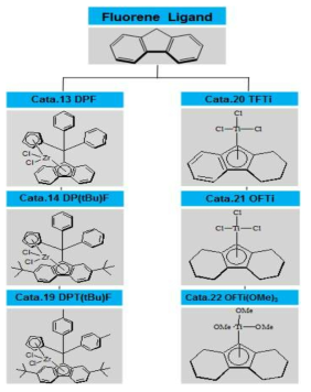 Fluorene Ligand 메탈로센 촉매