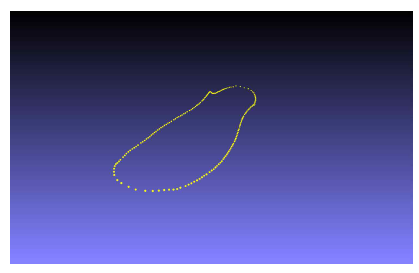 (군화/좌발/265mm) Sole라인 측결과 3D Plot(200Point)