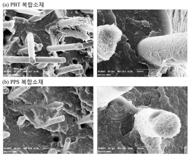 20wt%의 유리섬유를 함유한 PBT, PPS 복합소재의 파단면 SEM 사진