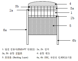 초음파 변환기의 구성 및 구조