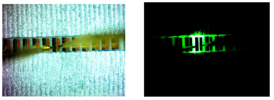 제작된 Green LD chip bar(좌) 발광이미지(우)