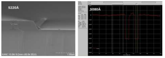 SEM 및 Surface profiler를 통한 ridge depth 측정 비교