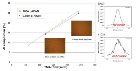 TMA Flow 변화에 따른 p-AlGaN 표면 및 결정 특성