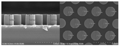 PR 패턴의 SEM 이미지 (좌) cross view (우) plane view