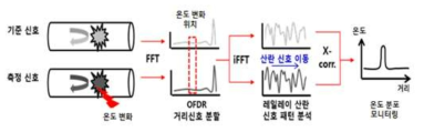 OFDR 기반 분포형 온도측정 프로세스