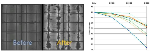 고온고습 시험 후 습기가 침투된 모듈의 EL 이미지와 전력열화 그래프