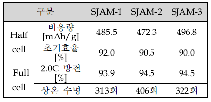 음극 소재 ３종 전지 특성표