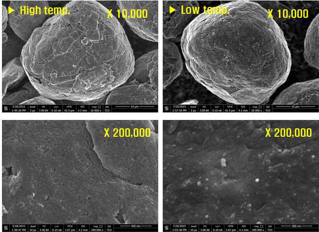 코팅 온도별 morphology