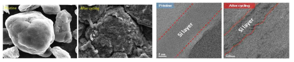 Cycling 전/후의 소재 표면의 mophology 그림 44 Cycling 전/후의 Si layer 두께 비교