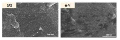 탄소 코팅 방법에 따른 입자 형상 (기상 vs 습식)