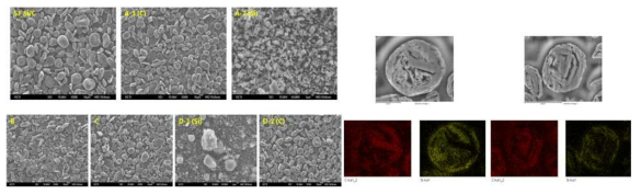 음극 소재 5종의 표면 형상과　SJ 음극소재의 단면형상 및 EDX mapping