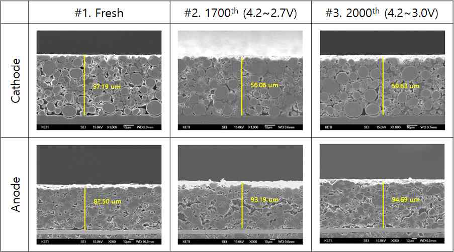 주관기관 제공 셀 해체 후 전극 단면 두께