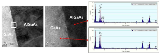 성장된 기판의 TEM-EDX 특성 분석