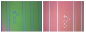 Photo-lithography 공정(Stripe 패턴 형성) (좌: stripe 폭 형성을 위해 패턴 형성-blue line 이 SiO2가 노출됨) (우: SiO2 식각 후 사진 -white line이 SiO2 에칭 후 패턴)