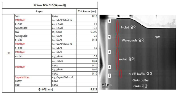 Skyera사 975nm 12W CoS제품 에피 구조 및 TEM 단면 이미지