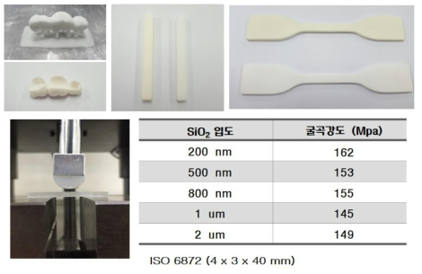 SiO2 입도에 따른, Bis-GMA 기반 임시치아 복합 3D 프린팅 출력물 및 굴곡강도 측정