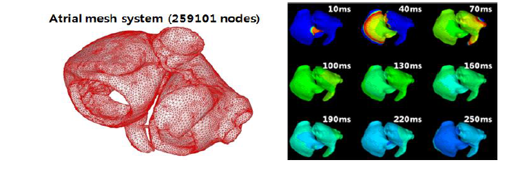 심방 시뮬레이션 모델 설계 및 시뮬레이션 결과