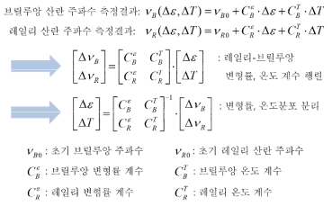 하이브리드 측정 기반 온도-변형률 분리 측정 방법