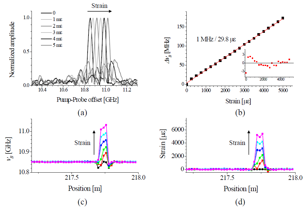 (a) 인장이 가해진 4cm 테스트 영역에서 측정된 브릴루앙 이득 스펙트럼의 모습 (b) 변형률에 따른 브릴루앙 주파수의 천이와 그 크기를 선형 근사한 결과 (c) 인장이 가해진 부분 근처의 브릴루앙 주파수 분포를 확대한 모습 (d) 초기측정치를 뺀 브릴루앙 주파수를 통해 얻어진 변형률 분포