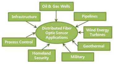 분포형 광센서 적용 분야