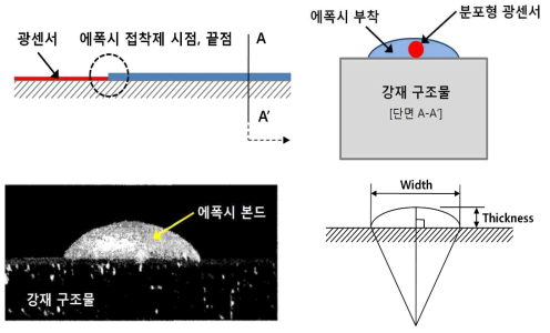 표면 부착된 분포형 광센서의 유한요소해석