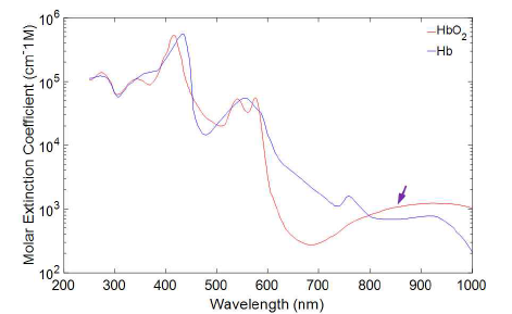 Oxy/De-oxy Hemoglobin의 optical absorption coefficients