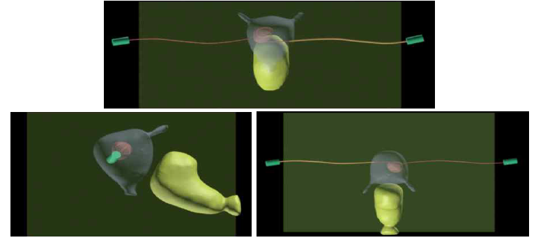 제작할 팬텀 3D 모델: front view(위), left view(아래 좌측), right view(아래 우측)