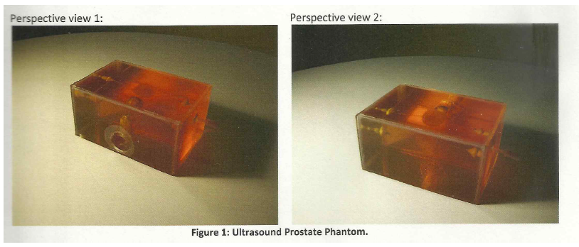 제작한 생체모방 물질을 이용한 전립선 모델 팬텀 사진