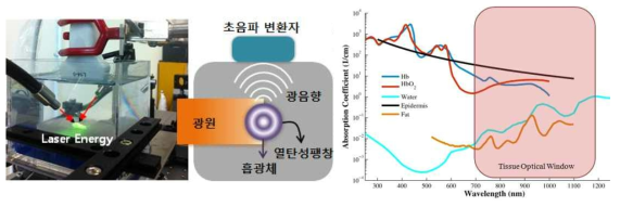 광음향 영상 획득 사진(좌측), 광음향 신호 발생 원리 모식도(중앙), 광 파장별 생체조직 구성성분의 광 에너지 흡수율 변환 그래프(우측)