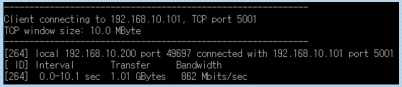 [LAN #1 port] 862Mbps 측정